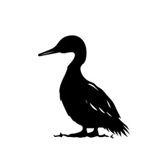 Fototapeta premium loon silhouette