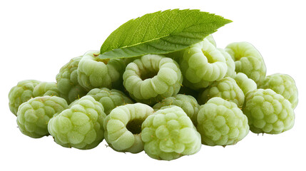 Fototapeta premium a green plant with a leaf on a transparent background, PNG image, PNG file, Generative art.