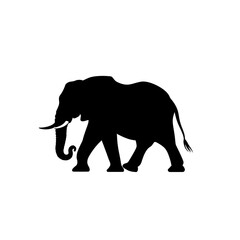 Fototapeta premium elephant art silhouette