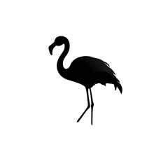 Obraz premium flamingo silhouette