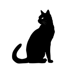 Obraz premium black cat silhouette