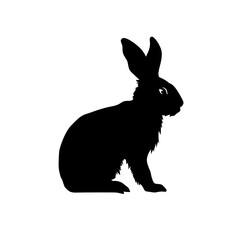 Obraz premium bunny silhouette