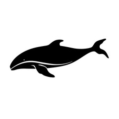 Obraz premium a whale silhouette