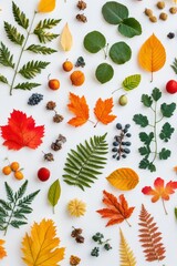 Various autumn leaves and natural elements are artistically arranged on a white background, showcasing vibrant colors and textures found during the fall season