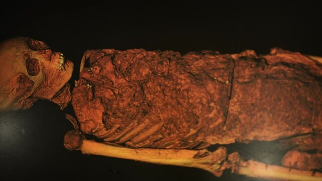 A well-preserved ancient Egyptian mummy, revealing detailed facial features and skeletal remains. This artifact provides invaluable insight into burial rituals and the preservation techniques of the t
