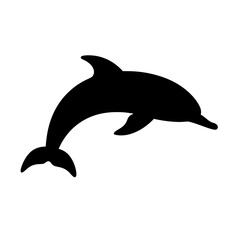 Fototapeta premium a dolphin silhouette