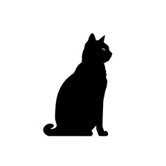Obraz premium cat sitting silhouette