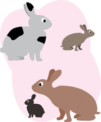 bunnies in different poses and colors, vector illustration