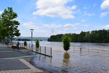 flooded Rhine shore in Weißenthurm