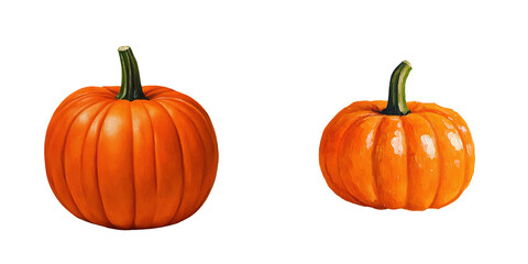 Obraz premium Two Different Sizes of Fresh Orange Pumpkins, isolated on transparent background.