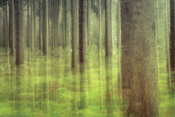 Long exposure abstract art. Photography with camera movement. Fuzzy lines of natural Trees. Unreal landscape.