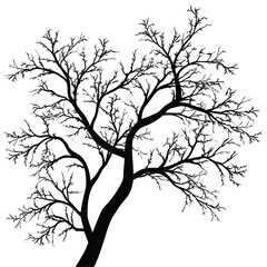 Fototapeta premium tree branches silhouette