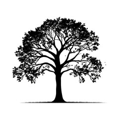 tree png silhouette