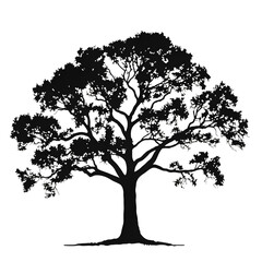oak tree silhouette