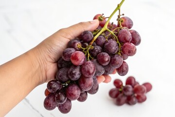 Fototapeta premium Hand Holding Fresh Bunch of Purple Grapes with Marble Background for Culinary and Healthy Lifestyle
