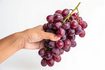 Fototapeta premium Fresh Purple Grapes Held in Hand Against a Simple Background for Healthy Lifestyle Concepts