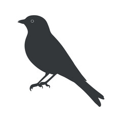 Bird silhouette vector illustration