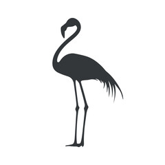 Flamingo silhouette vector illustration