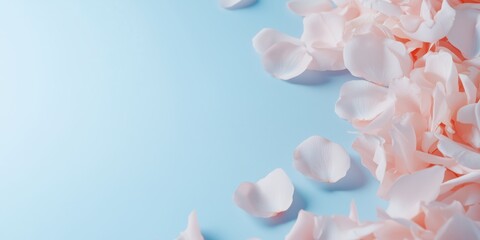 Fototapeta premium Soft pink petals scattered on a light blue surface, creating a serene atmosphere