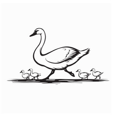 Baby swans following mother image vector isolated on white background.