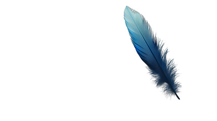 Obraz premium a blue feather on a transparent background, PNG image, PNG file, Generative art.