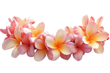 Vibrant Hawaiian Lei with Fresh Flowers Realistic Image Isolated on Transparent Background