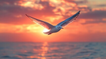 Seagull in flight at sunset over ocean.