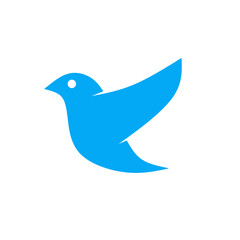 bird illustration 