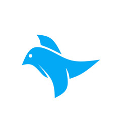bird illustration 