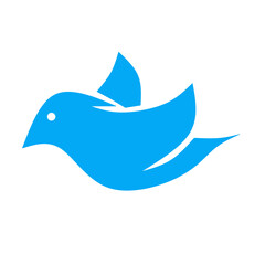 bird illustration 