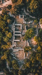 Fototapeta premium Aerial View of Ancient Ruins in a Forest
