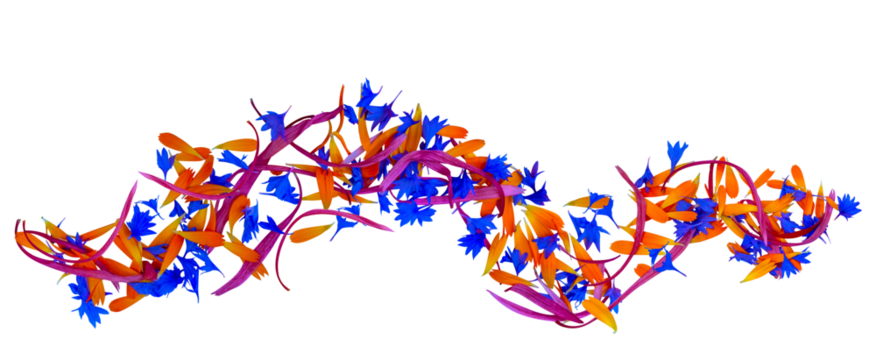 Flying flower petals of echinacea, calendula, cornflower. Spring, holiday concept for mother's day, birthday, Easter, Valentine's, anniversary, wedding. On isolated transparent background. Cut out.PNG