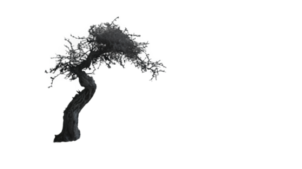 white smoke on a transparent background, PNG image, PNG file, Generative art.