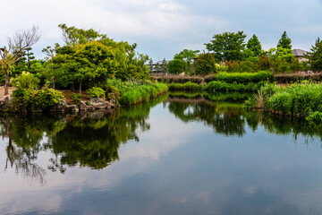 Fototapeta premium (とやまビューポイント)富山 射水市 足洗潟公園 7月 