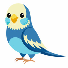 Fototapeta premium Cartoon blue small budgerigar. Talking realistic budgies. Domestic birds .Illustration isolated on white background. Vector
