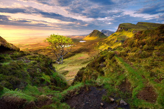 Lone tree overlooking dramatic view of Trotternish Ridge, seen from Quiraing on The Isle of Skye, Scotland, UK.