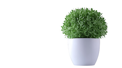 a green plant in a white vase on a transparent background, PNG image, PNG file, Generative art.