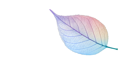 a leaf on a transparent background, PNG image, PNG file, Generative art.