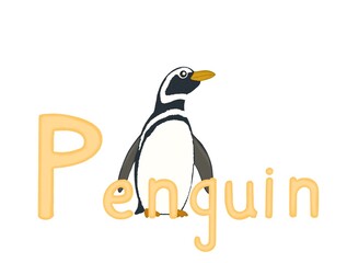 penguin for kids alphabet on a white background. Letter p