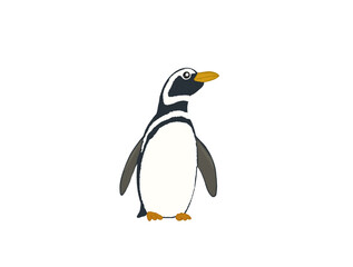 penguin cartoon isolated on white background png