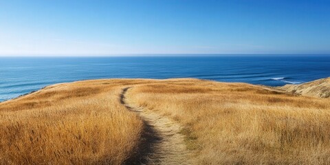dry coastal grass growing along a winding path, leading toward the beach where the clear blue ocean meets the sky at the horizon