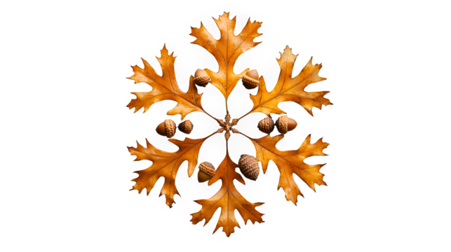 an acorn on a transparent background, PNG image, PNG file, Generative art. - Powered by Adobe
