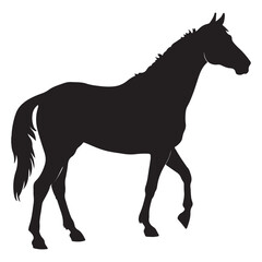HORSE SILHOUETTE BLACK