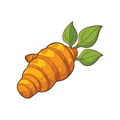 turmeric whole and leaf