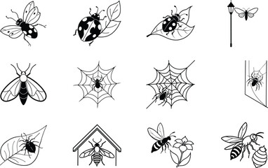 Insects, Spiders, Webs, Garden, Nature, Line Art, Black, White, Designs, Illustrations