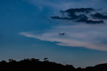 long white cloud in the shape of a shark in the blue sky with a bird flying isolated over the silhouette of the mountain with forest