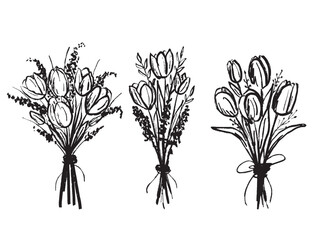 Spring tulip slower bouquets design in brush stroke texture. Hand drawn vector sketch illustration in vintage charcoal ink style. Black and white isolated illustration, 8 march, wedding invitation