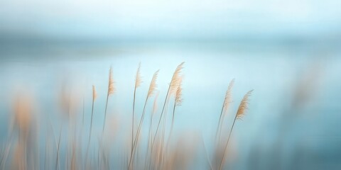 Fototapeta premium coastal grass, with the muted colors of the grass blending with the soft blue of the sea and the sky above, creating a peaceful landscape