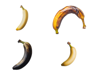 A striking visual representation of a banana's transformation from fresh to overripe