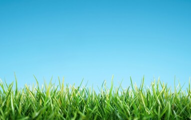 Fototapeta premium Vibrant green grass against a clear blue sky, symbolizing nature, growth, and tranquility with a bright, fresh atmosphere.